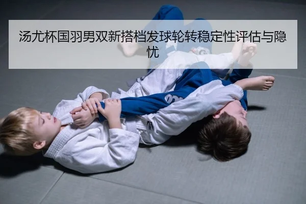 tang-you-bei-guo-yu-nan-shuang-xin-da-dang-fa-qiu-lun-zhuan-wen-ding-xing-ping-gu-yu-yin-you-2-247.jpg